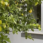 Casa Do Avo Serra