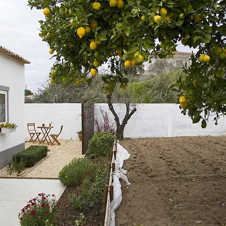 Hébergement de vacances Casa Do Avô Serra