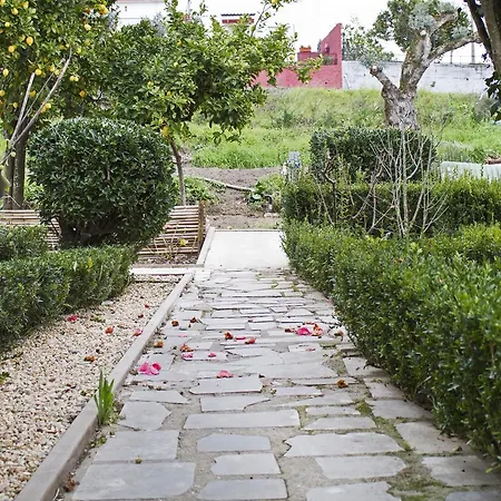 Casa Do Avô Serra Leiria