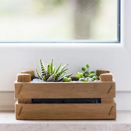 Casa Do Avô Serra Hébergement de vacances Leiria